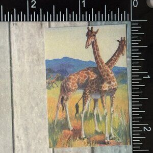 🌀10/$10🌀 Classic Grassland Animals Reusable Washi Sticker Decal